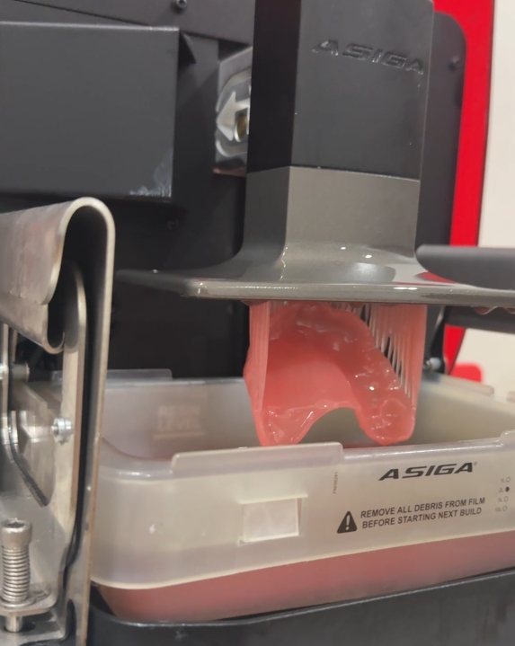 A denture base in the 3D printer